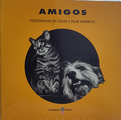 Amigos